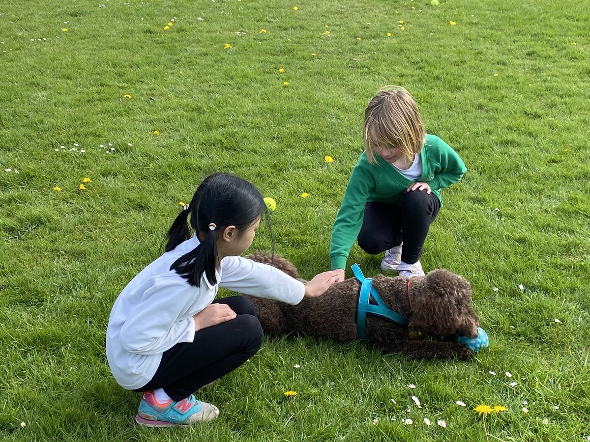 It was a busy day! T🐾 #schooldog