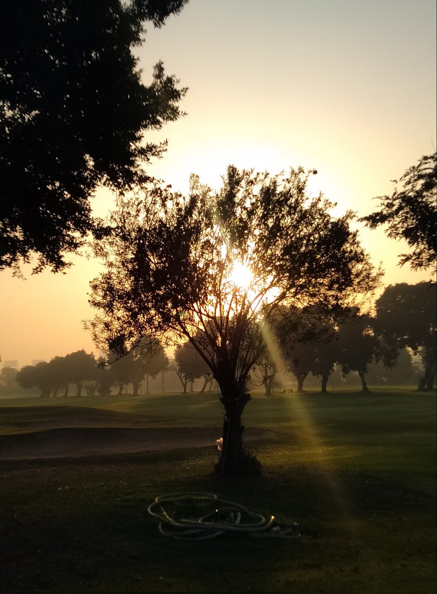 هباا 🇵🇸 tweet media