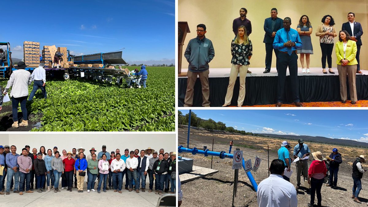 FDA Global on Twitter "Thanks to our collaborators SDAyR_GTO