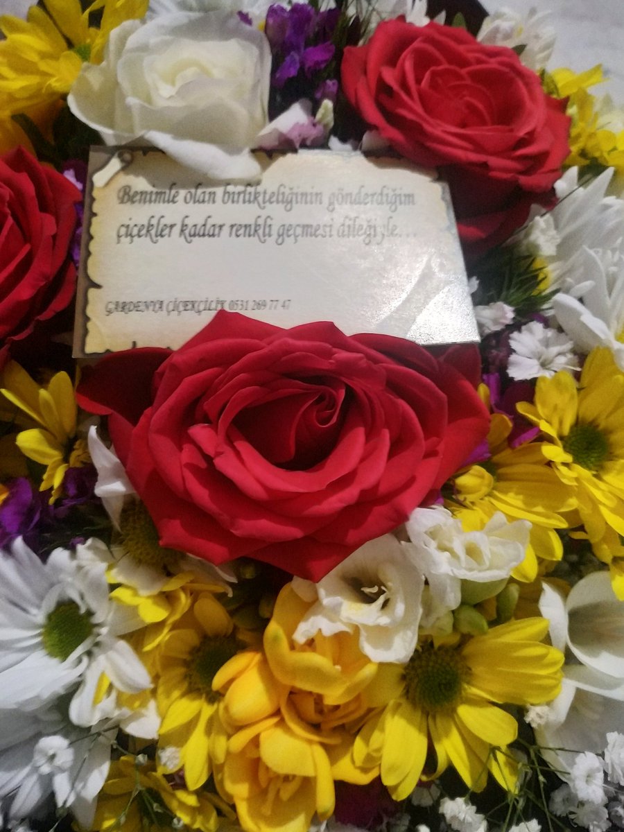 media.tenor.com/NRDsqH7bcmgAAA…