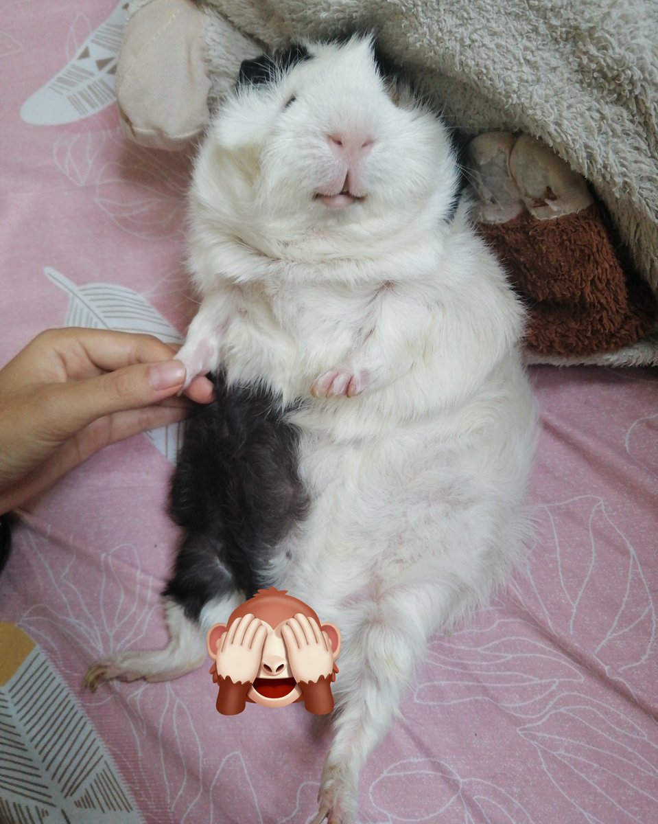 น้องบอย tweet media