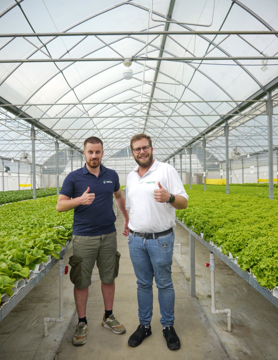 Corenthin_Cha's tweet photo. Great field meetings in Guatemala, impressive #tropical climate NFT #greenhouse system 🥬
> Using the #Luminosa gutter connect + equipment by @HarnoisHQ
Contact me to learn more about it !
#gutterconnect #hydroponic #lettuce #fresh #salanova #herbs #basil #poly #midtech https://t.co/1YqtM18N8S