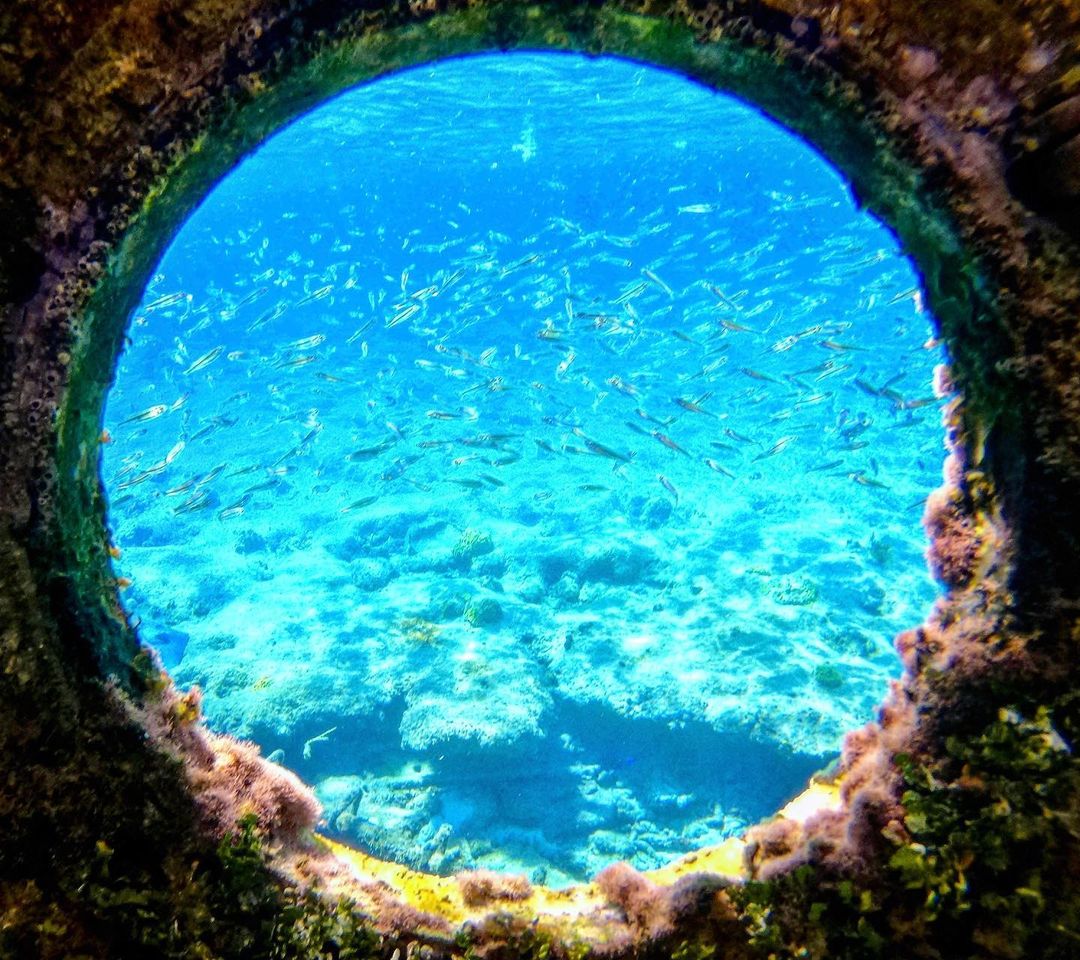 Into the blue💙 📸: @jedikiteboarding . . . . #TurksAndCaicos #TCI #SisterIslands #Paradise #Caribbean #Vacation #BeautifulByNature #WeAreTurksAndCaicos #WhyILoveTurksAndCaicos #DreamDestination #Cruise #Providenciales #Diving #Scuba #Diving #Snorkeling #Marinelife