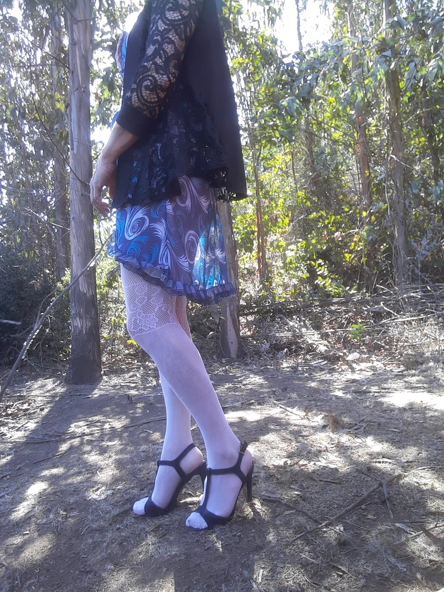 paula_sissy's tweet photo. Hace mucho que no subia nada,  no se por qué. Un botón de muestra en el bosque.  Me encanta estar entre los árboles!!! https://t.co/bdHRWroj7I