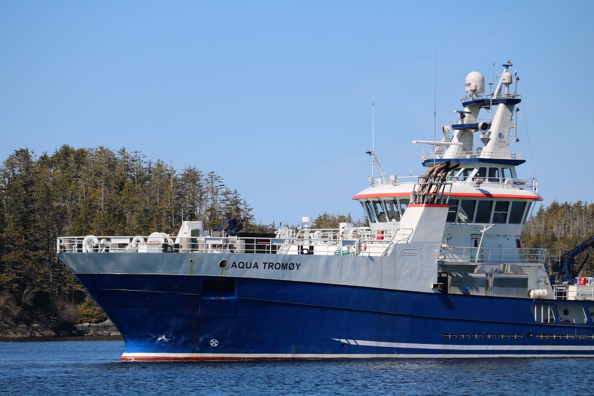 WesternMaritime's tweet photo. Which one of these vessels do you want to operate? #TugBoatLife #SmallVessel #MarineShip #ShipYards #SmallShipCruising #ShipSpotting #ShipSpotters #SeaLife #SeaFarer #SeaFarerLife #FishingBoats https://t.co/aWsemvAaeT