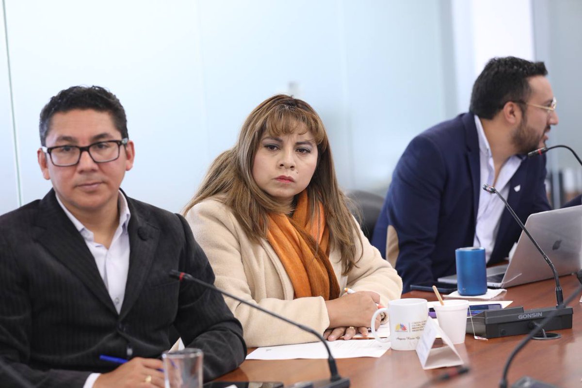 La presidenta (e) <a href="/EducacionAN/">CECCYT</a>, <a href="/RociGuanoluisa/">Rocio Guanoluisa</a>, autoriza tratar el segundo punto del orden del día.
Recibe a Dany Pinos Silva para escuchar sobre un proyecto de arte.