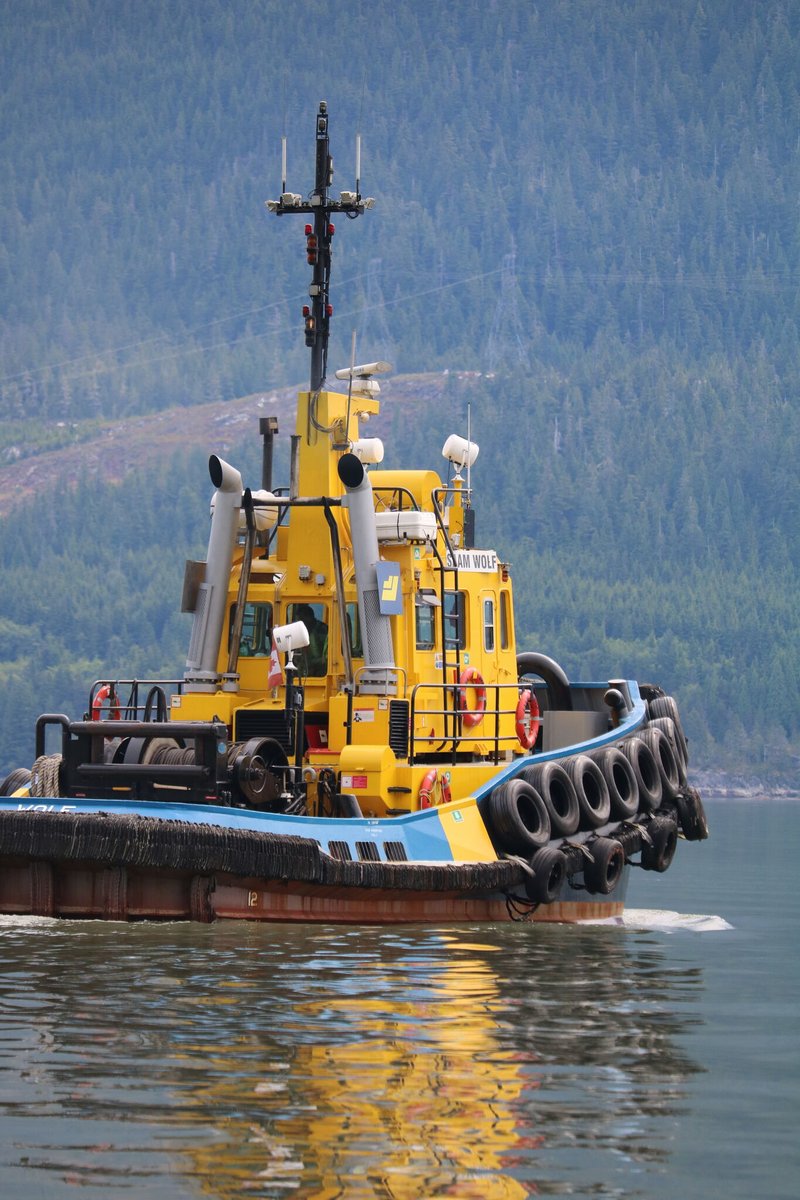 WesternMaritime's tweet photo. Which one of these vessels do you want to operate? #TugBoatLife #SmallVessel #MarineShip #ShipYards #SmallShipCruising #ShipSpotting #ShipSpotters #SeaLife #SeaFarer #SeaFarerLife #FishingBoats https://t.co/aWsemvAaeT