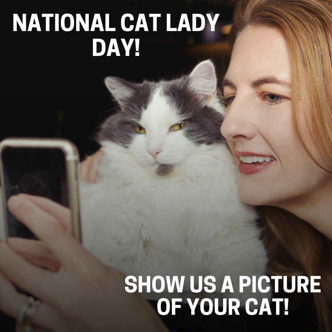 LeahHauck's tweet photo. Why is this not a Federal Holiday?! 
Happy #NationalCatLadyDay #Cat #Tortitude https://t.co/j0KDwZNr38