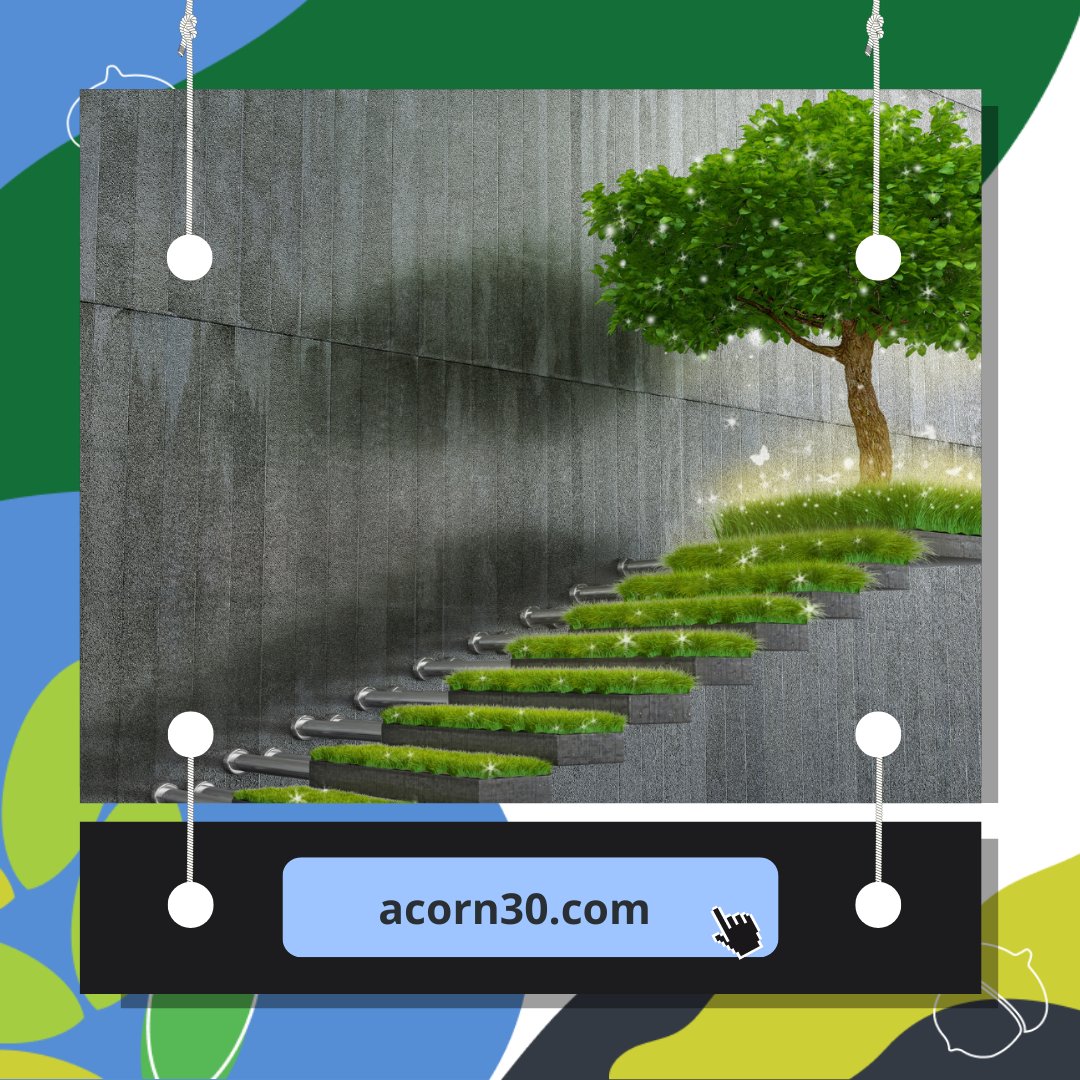 acorn30 tweet media
