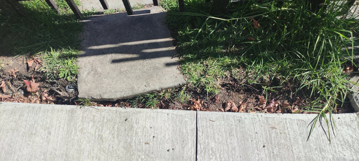 rodrigopavon's tweet photo. Estimada @danielapenaloza Hace más de 3 semanas hicieron un arreglo en la vereda de nuestra calle (Murano). Nos dejaron unos espacios sin relleno que son muy peligrosos (4 caídas ya). Quién nos debe dar la solución al problema?  Necesitamos ayuda urgente!!! https://t.co/dDzWWPJ7d8