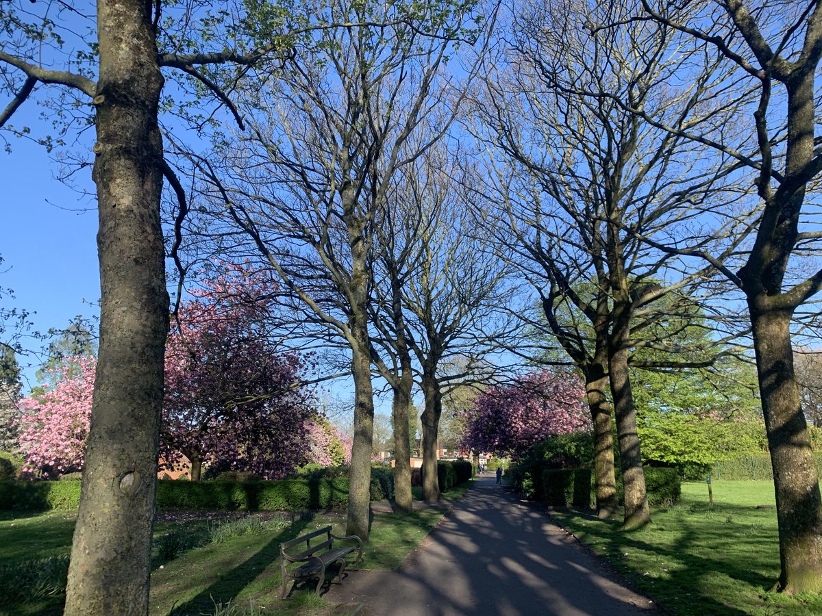 Sensory and hayfever overload! #SoulFood #Spring #Sprockerdiles