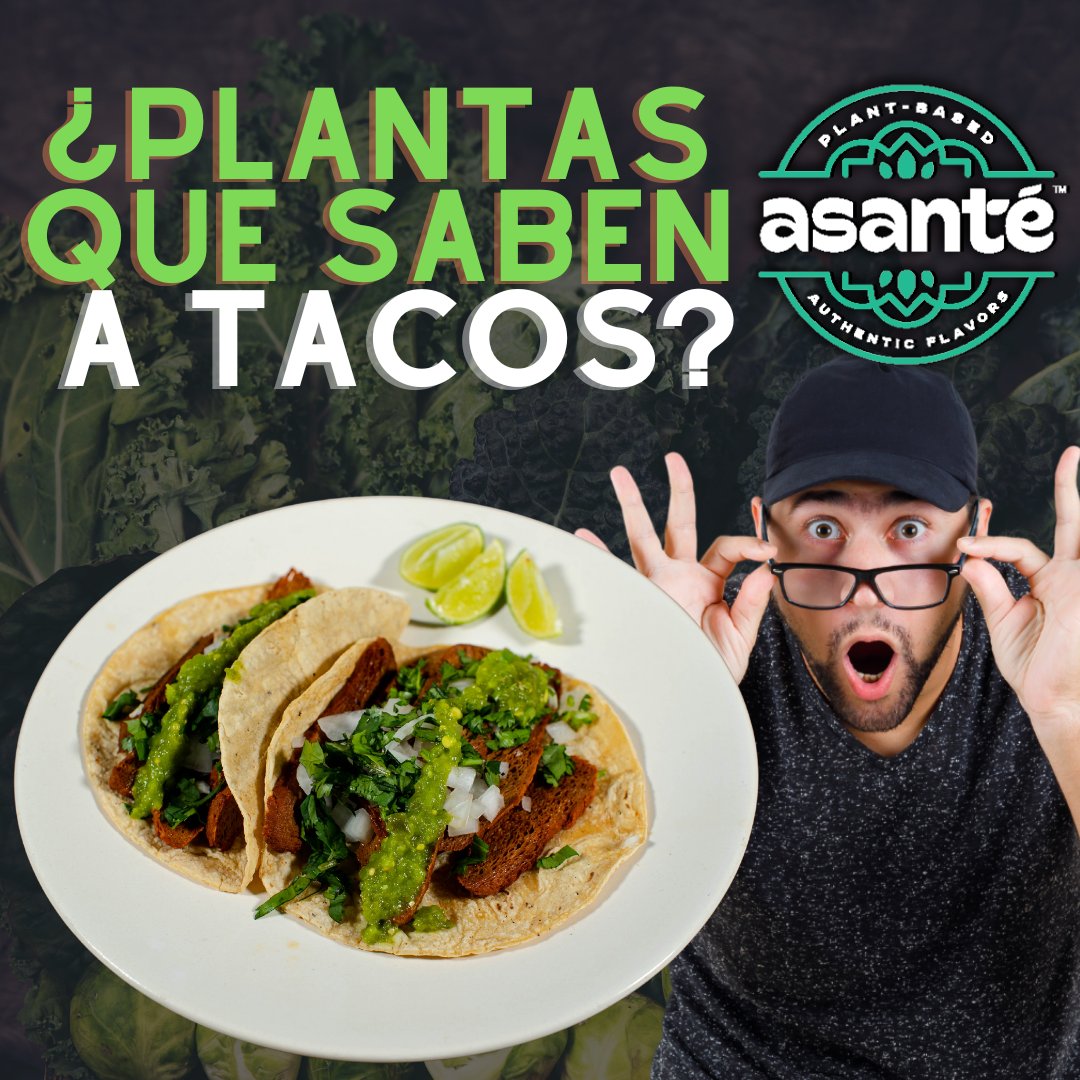 holaAsante's tweet photo. 🤯 ¿Buscas una forma rápida, rica y saludable de darle un giro a tus tacos? 🌮👀 ¡Prueba nuestros platillos mexicanos a base de plantas! Tus clásicos favoritos como 🌮✨ Pastor, Cochinita Pibil y Barbacoa!🌱😋
🛍️¡Pide en nuestra tienda online! 🛒
#PorLaEvoluciónDeLasTradiciones https://t.co/AOSJfnIVOY