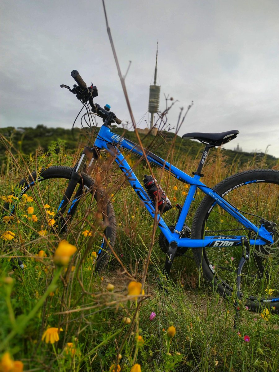 ¿Sabes que la forma más saludable para visitar #Barcelona es en bicicleta? En el #DiaMundialdelaBicicleta te enseñamos las aventuras más #sostenibles que puedes vivir en bici🚴🏙️
⠀⠀⠀⠀⠀⠀⠀⠀⠀
#WorldBikeDay #vidasaludable #healthylifestyle #VisitaBarcelona