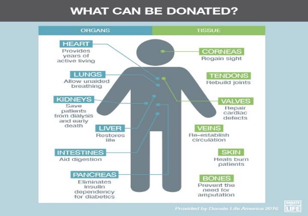 BNAFoundation's tweet photo. A year of lifesaving milestones! See what you can donate today! https://t.co/CPDxx95eEG