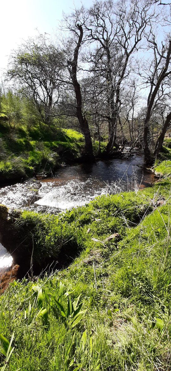 SaraTrojahn23's tweet photo. A beautiful day for our first #CarriProject Installations in Cumbria, England. #LakeDistrict #Fieldwork #SoilScience @JamesHuttonInst @LancasterUni https://t.co/QUpRZZ5BDM