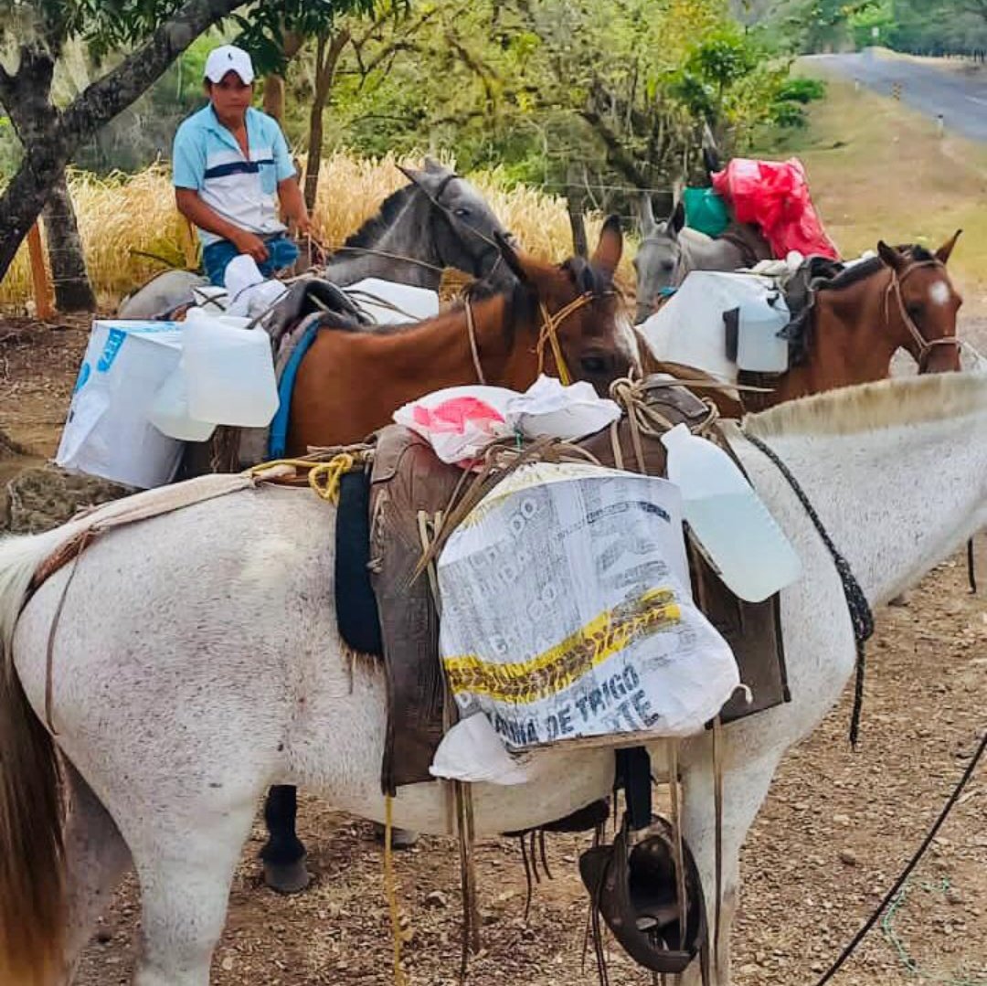 #Nicaragua celebra con trabajo y producción el día nacional de la paz. 
#UnidosEnVictorias 
#UnidosEnVictorias
<a href="/Atego16/">@🅰🆃🅴🅶🅾 🇳🇮</a> 
<a href="/Amanecerabz/">#TodosSomosDaniel🇳🇮Amanecerabz</a> 
<a href="/huella_sandinis/">HUELLA SANDINISTA🇳🇮</a>