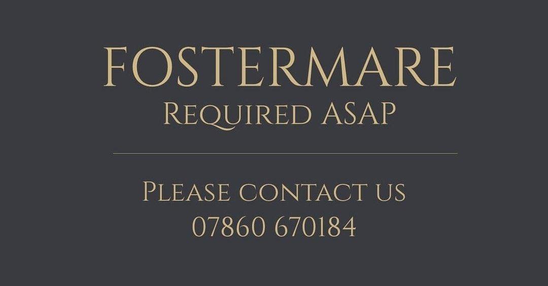 YortonFarm's tweet photo. 🚨 Foster mare required ASAP 🚨
We are looking for a fostermare for a Throroughbred colt born last night.
Please contact us 07860 670184 if you can help.
Thanks a lot!
#fostermare #foaling #PleaseShare https://t.co/AFq99jgz11