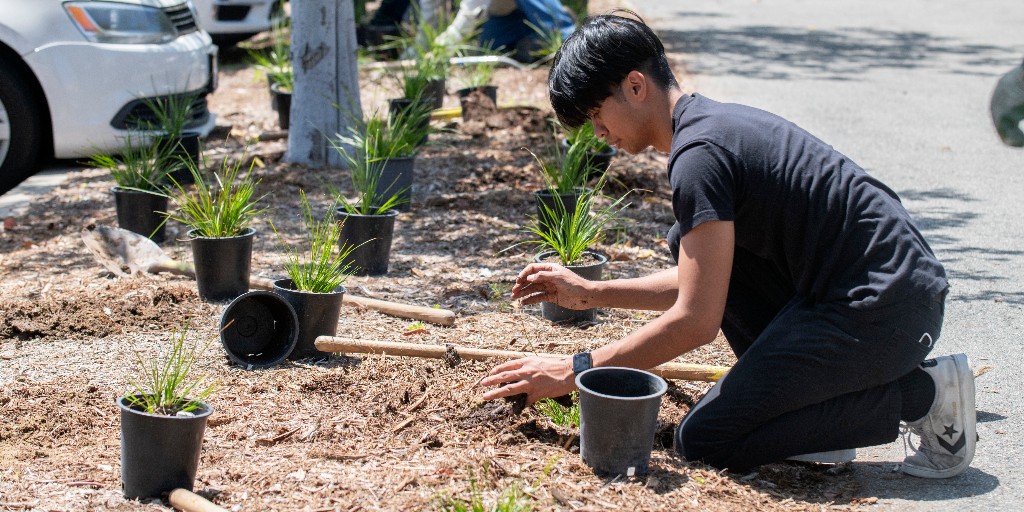 #EarthWeek: UCI is home to 30K trees &amp; was named a Tree Campus USA by Arbor Day Foundation. A healthy tree canopy provides shade, reduces heat from asphalt &amp; buildings, absorbs stormwater runoff, provides bird habitats &amp; cleans the air. A win/win &amp; stunning campus views! 😍🌳🌲
