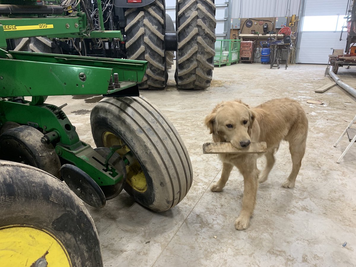 Besley07's tweet photo. My block boy for wheel bearings. At least he thinks this job is fun. #cheaphelp https://t.co/FbxHFxbYe2