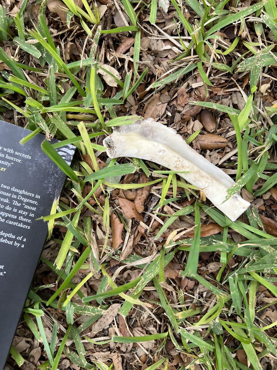 Jenny Lawson tweet media