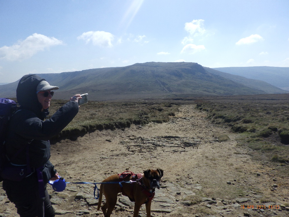 KnipeMike's tweet image. Poptabulous week end/midweek in Hayfield with Chrissie, Geoff, Islay, Pebbles and LTD - lovely walks, cracking scoff by Geoff and toleration of LTD'S tendancy towards utter areseholeness with other dogs and my smelly socks.  All good clean fun, except for the M1 drivey bits.