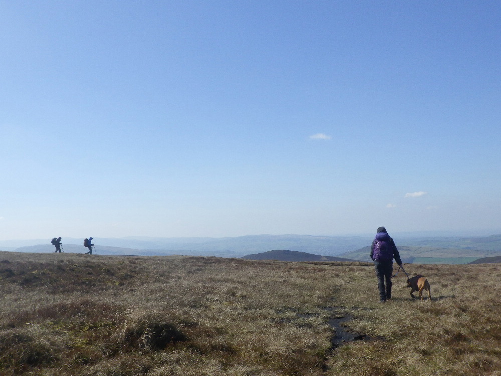 KnipeMike's tweet image. Poptabulous week end/midweek in Hayfield with Chrissie, Geoff, Islay, Pebbles and LTD - lovely walks, cracking scoff by Geoff and toleration of LTD'S tendancy towards utter areseholeness with other dogs and my smelly socks.  All good clean fun, except for the M1 drivey bits.