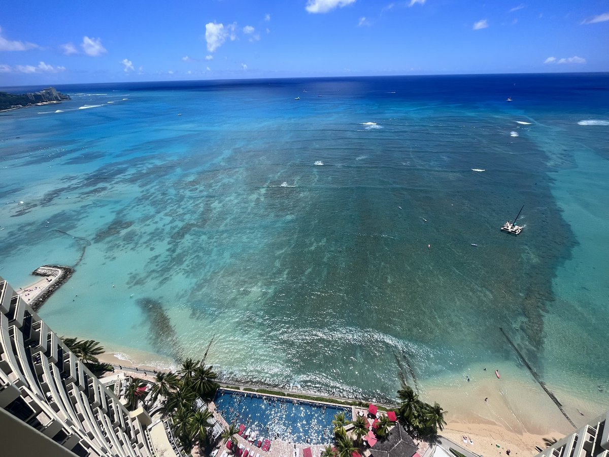 Elainea Smith tweet media