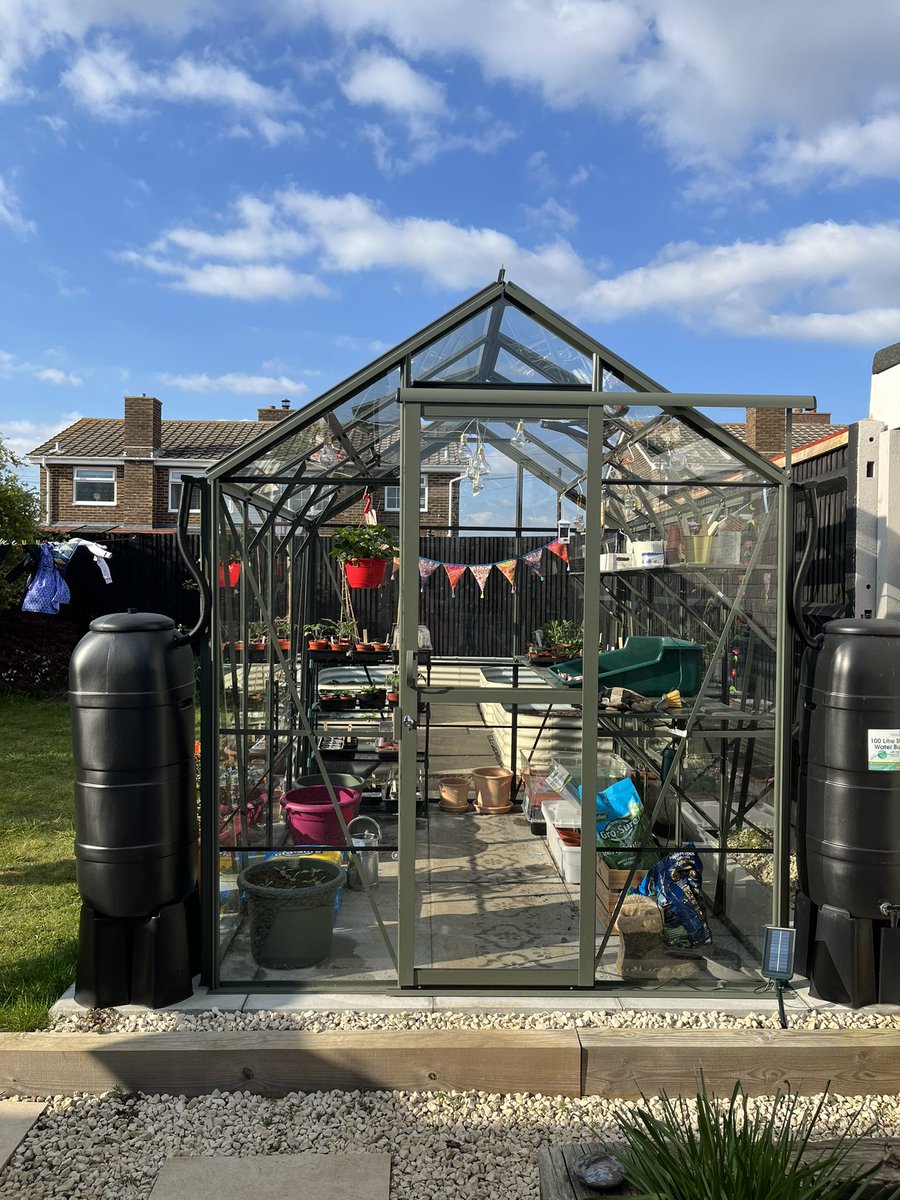 myseasideallot's tweet photo. 2/2 a little colour. I love that itβs hidden until you venture into the beds. Greenhouse is also looking stunning in the spring evening sun. #allotmentlife #allotment #growyourown #growyourownfood #modularbed #raisedbeds #raisedbedgarden #gardening #loofah #strawberryplants https://t.co/pZPlYFF52f