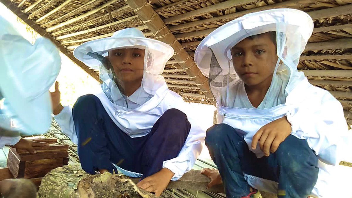 NadalDiplo's tweet photo. Gran alegría hoy en la Escuelita de los Llanos en Apure, fundada por dos profesoras del @colfracaracas. Hoy se instalan las primeras colmenas de un proyecto de cultivo de miel 🐝 hecha por los niños.

¡Estamos muy contentos y ansiosos de probarla! https://t.co/xvfQTaJLTT