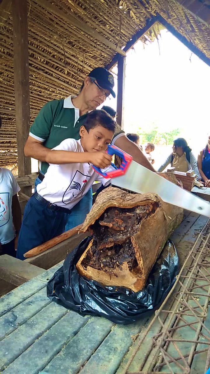 NadalDiplo's tweet photo. Gran alegría hoy en la Escuelita de los Llanos en Apure, fundada por dos profesoras del @colfracaracas. Hoy se instalan las primeras colmenas de un proyecto de cultivo de miel 🐝 hecha por los niños.

¡Estamos muy contentos y ansiosos de probarla! https://t.co/xvfQTaJLTT