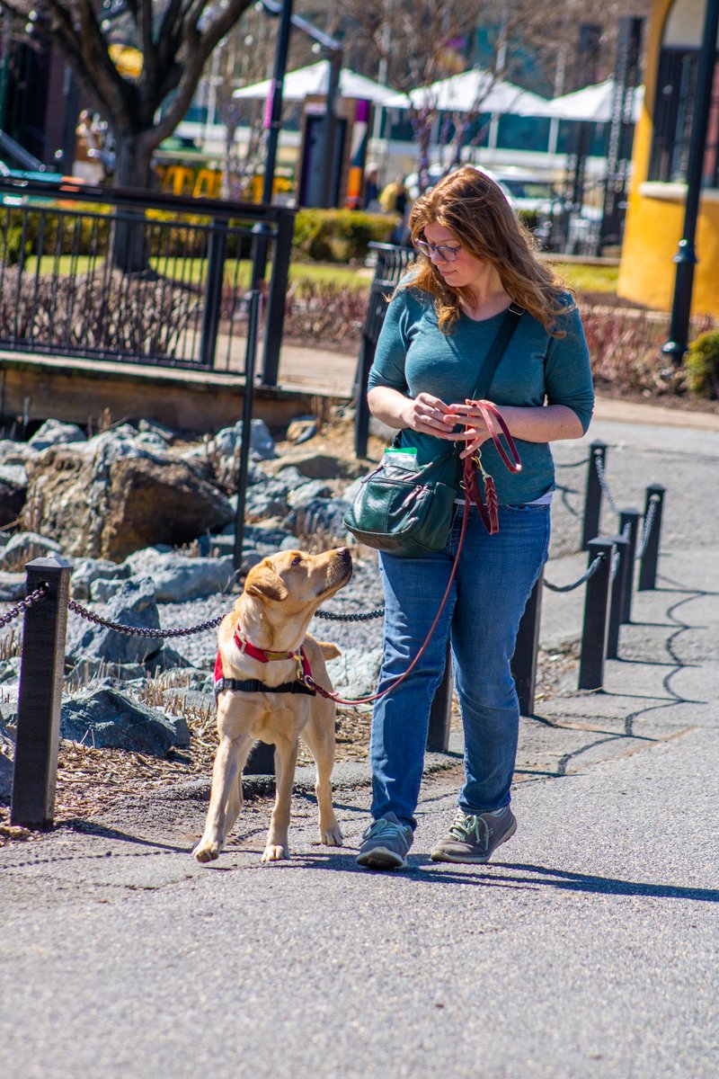 Want to join the #HeroDogs team? We are seeking a full-time Breeding Coordinator &amp; Puppy Trainer!
Visit hero-dogs.org/employment for more information and to apply! 🦮⁣
