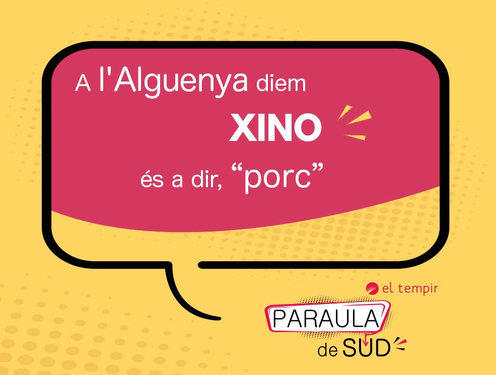 ParaulaDeSud's tweet photo. Provinent del mot "cochino", es fa servir com a sinònim de "porc" o "bacó" a #Elx, #Crevillent, #SantaPola, la #Romana, #Monover, el #Pinós, Barba-roja, els Fondons i l'#Alguenya. És un castellanisme que cal circumscriure'l a l'àmbit de la col·loquialitat. #ParlarsViusDelSud https://t.co/tBE5zi2SjB