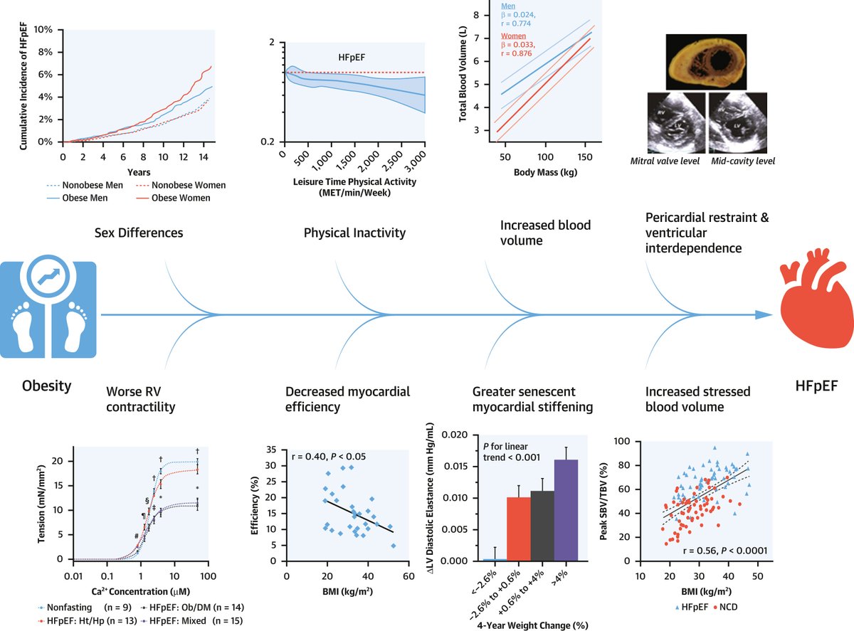 JACCJournals's tweet photo. HFpEF is an increasingly common cause of exercise intolerance linked to #obesity &amp; sedentary behavior. Despite advances in understanding of pathophysiological mechanisms, Dx, &amp; Tx, #HFpEF remains under-recognized. Further research is needed! https://t.co/2Jjeu1ah4d #JACC #SGLT2i https://t.co/NgqmRYzQ32