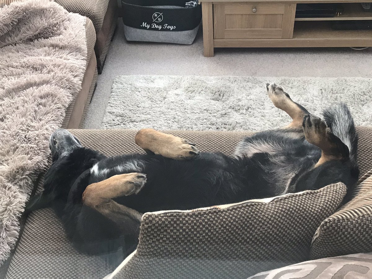FSD Boris, SSD Loki & RPD Khan tweet media