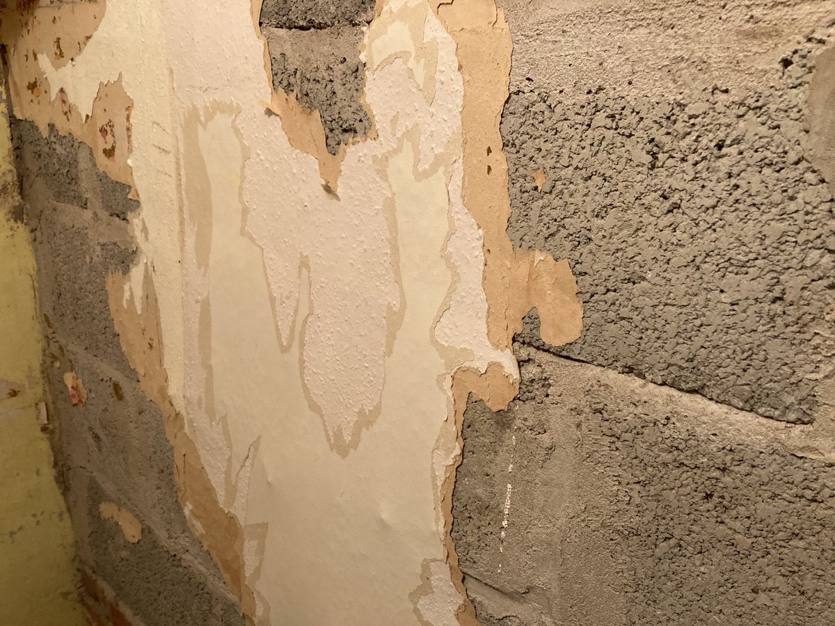 DymondSuz's tweet photo. My restoration project. I’m no professional but I’m sure it’s not normal to wallpaper directly onto brieze blocks ??!! https://t.co/6FGsQCSKv7