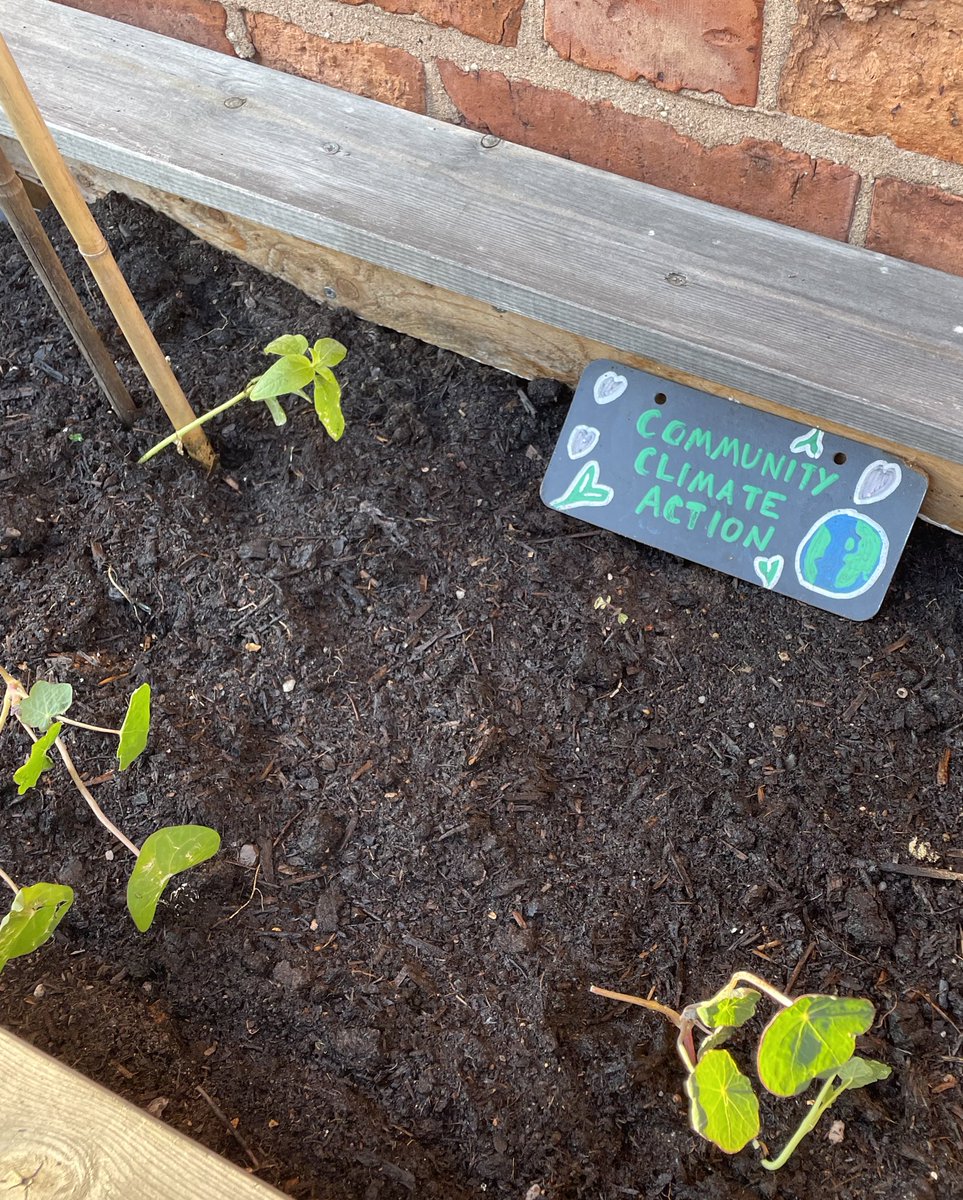 Youth Climate Group back in action <a href="/shccheltenham/">School House Café</a> planting up the planters for another year of growing fresh veg! Lots of salad leaves already ready to be picked so help yourselves! 🌱🌍❤️