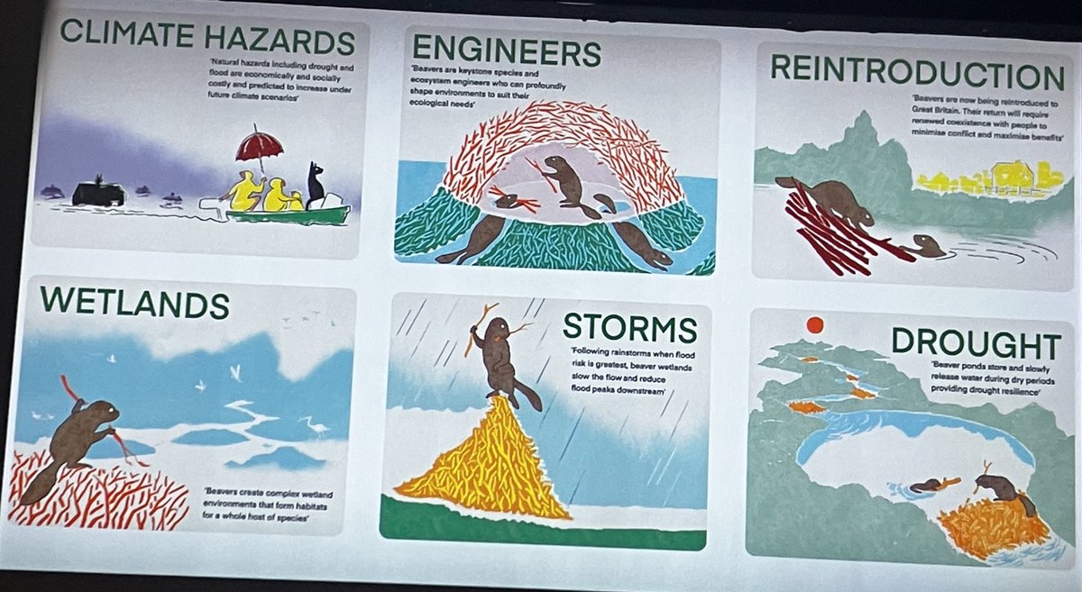 Informative, inspiring and interesting  #beaverconference2023 (<a href="/BeaverTrust/">Beaver Trust</a>, <a href="/UniofExeter/">University of Exeter</a>, <a href="/DevonWildlife/">Devon Wildlife Trust</a>). Views from farmers, landowners, academics &amp; practitioners shared views of  #beavers &amp; ecosystem restoration. With support it is possible. Thx <a href="/lornaslater/">Lorna Slater</a> MP, <a href="/nature_scot/">Former NatureScot account</a>.