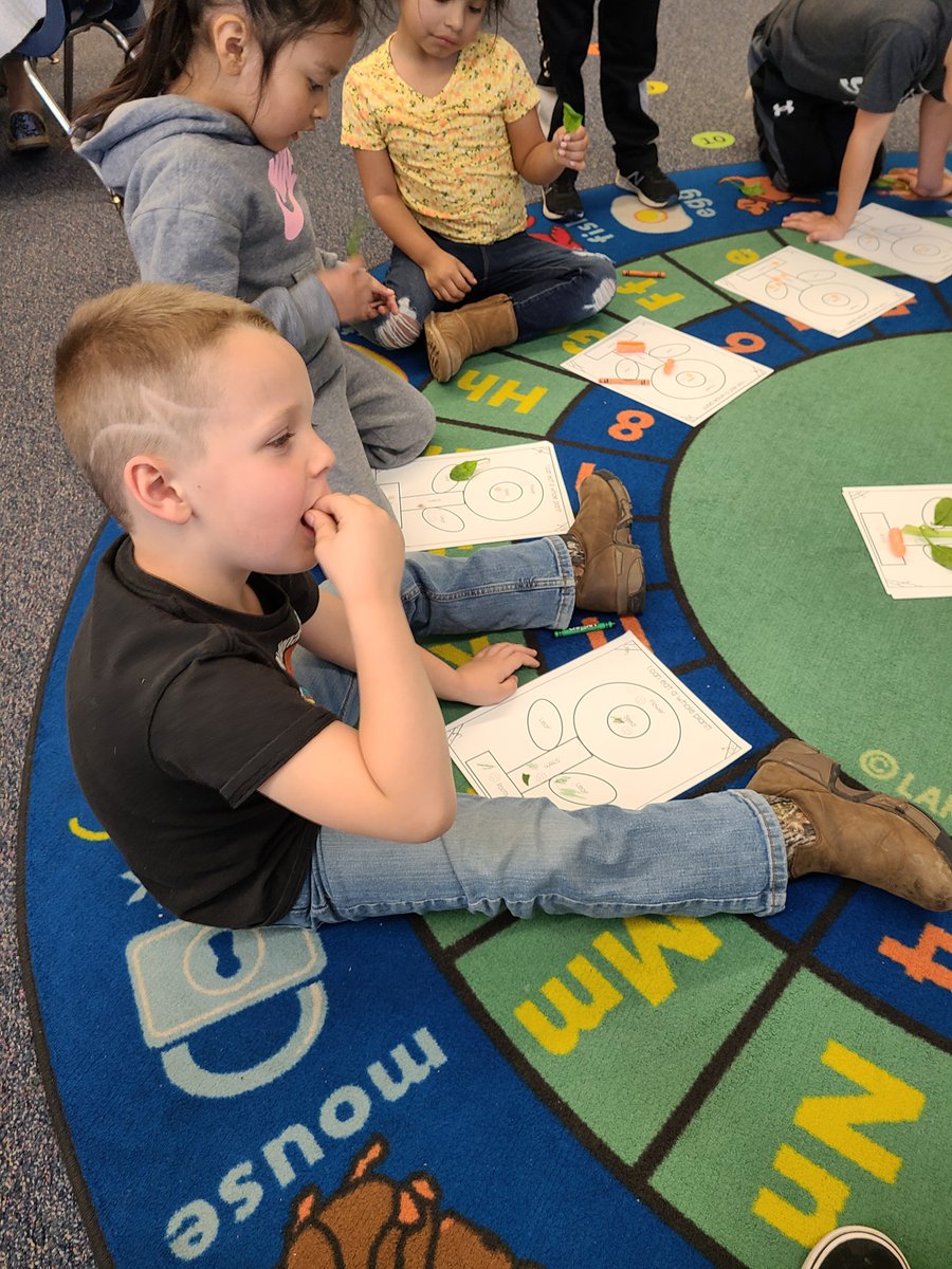 Sioux Center CSD (Kinsey and Intermediate) tweet media