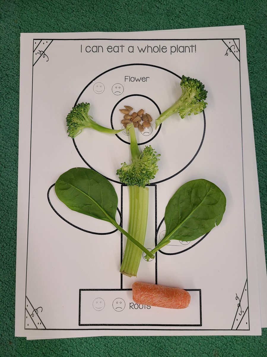 Sioux Center CSD (Kinsey and Intermediate) tweet media