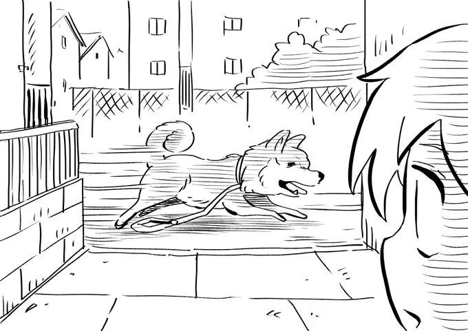 きのう家の前で見た光景 