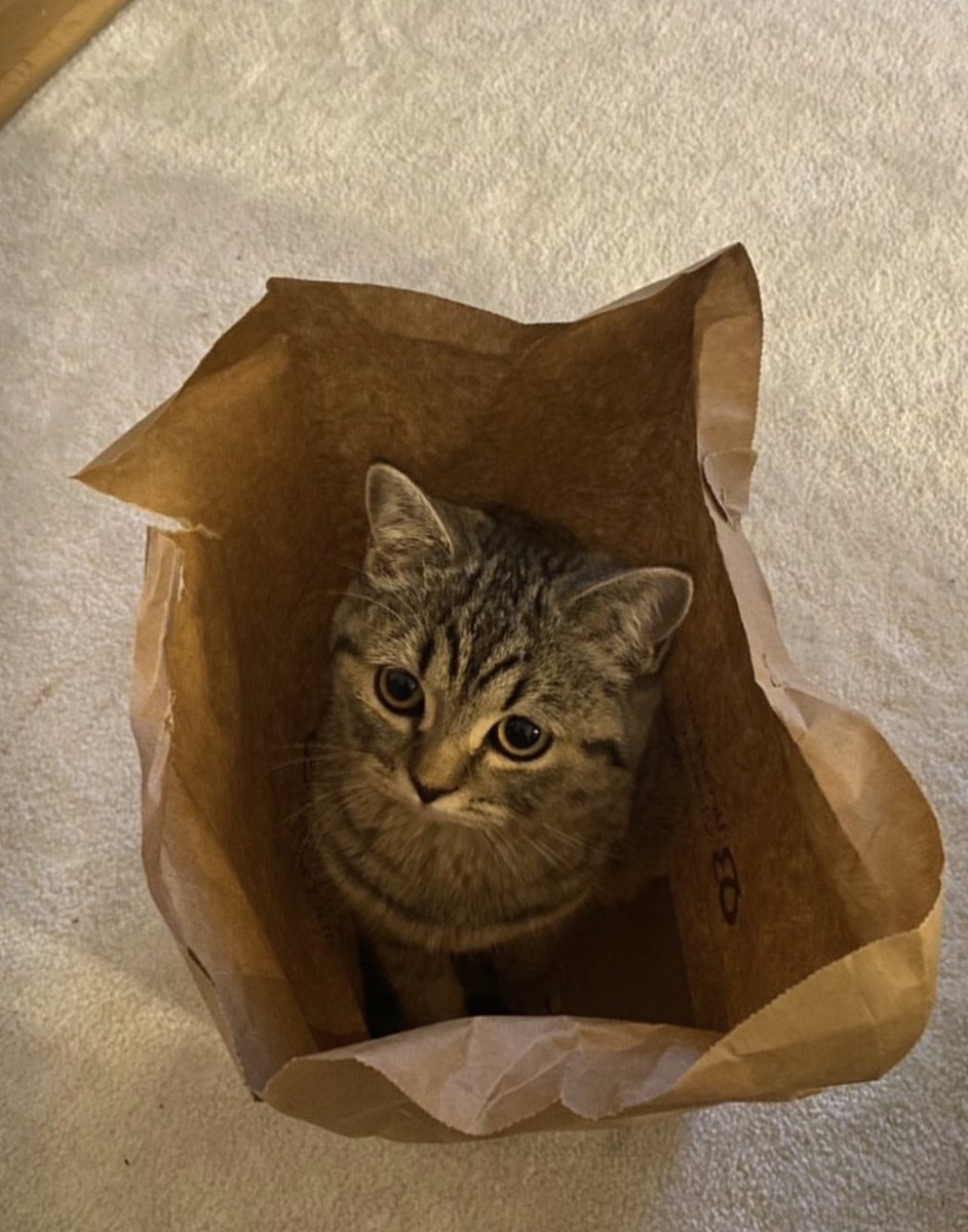 jachaelasjapril's tweet photo. @delihaziran 🥹 #freemabel https://t.co/gYKFC99DZk