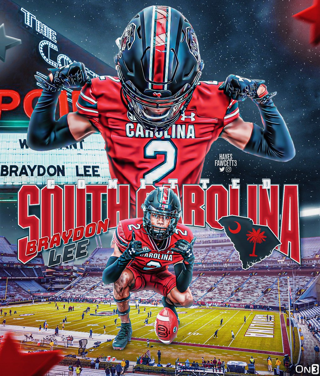 Braydon Lee tweet media