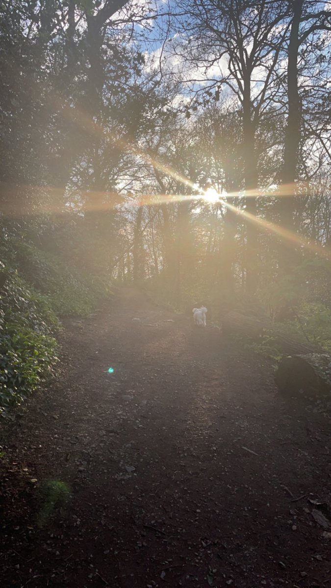 DepHeadClinEd's tweet photo. Time for some much needed #CouchTo5K #Wellbeing #ToppingUp after a busy admin day @punc14. Looking forward to #NRS507 skills tomorrow with @sarahwteaches @Boikhutso0510 @shaji_devadasan @PUNC20_Michelle & @Eve_S_Morley https://t.co/FSiNrcXhy7