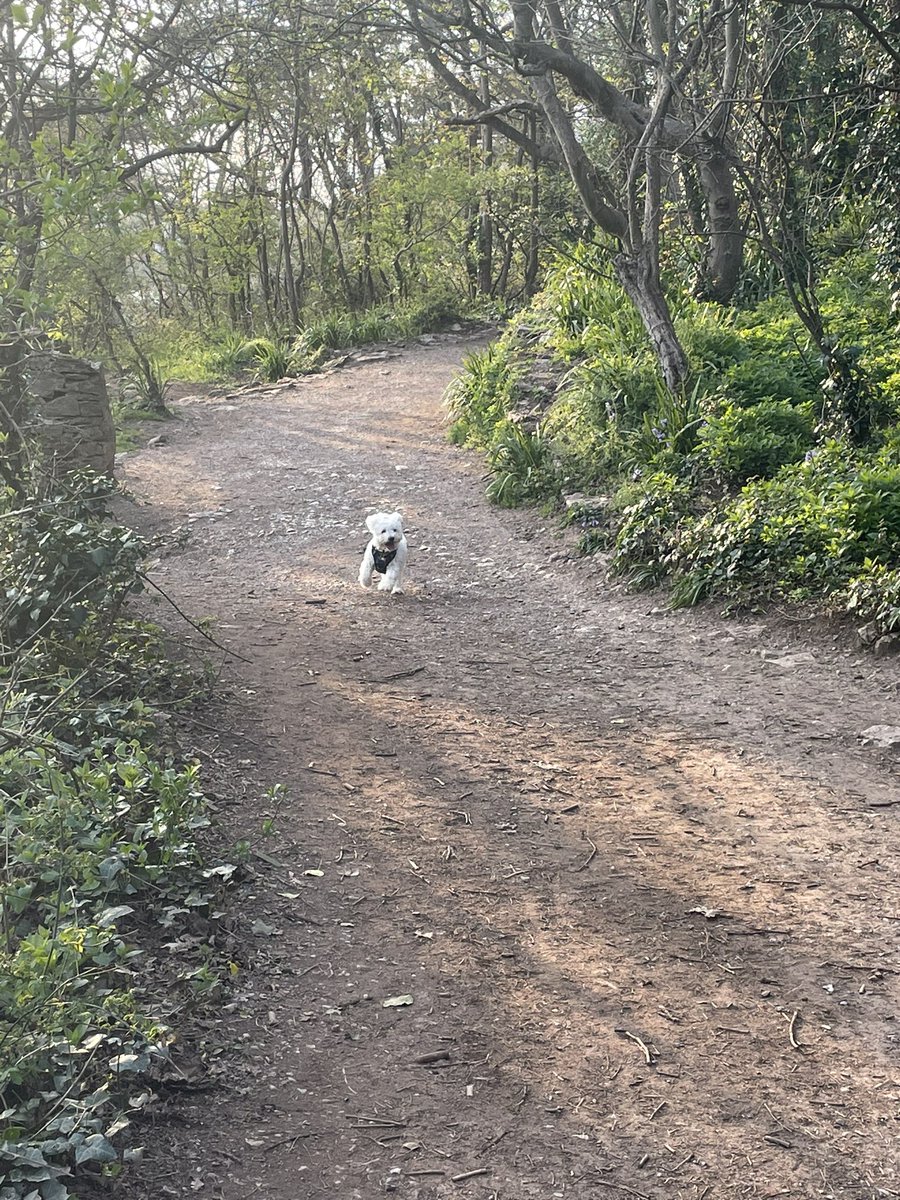 DepHeadClinEd's tweet photo. Time for some much needed #CouchTo5K #Wellbeing #ToppingUp after a busy admin day @punc14. Looking forward to #NRS507 skills tomorrow with @sarahwteaches @Boikhutso0510 @shaji_devadasan @PUNC20_Michelle & @Eve_S_Morley https://t.co/FSiNrcXhy7