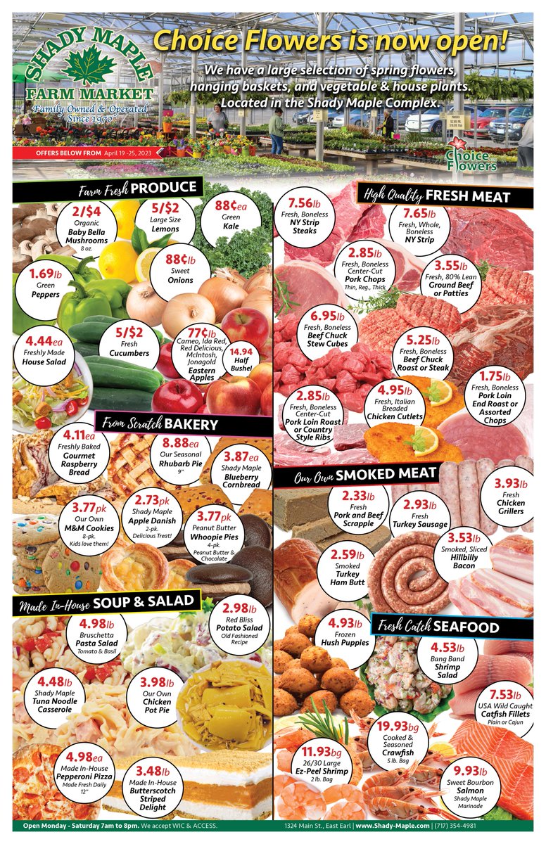 Shady Maple tweet media