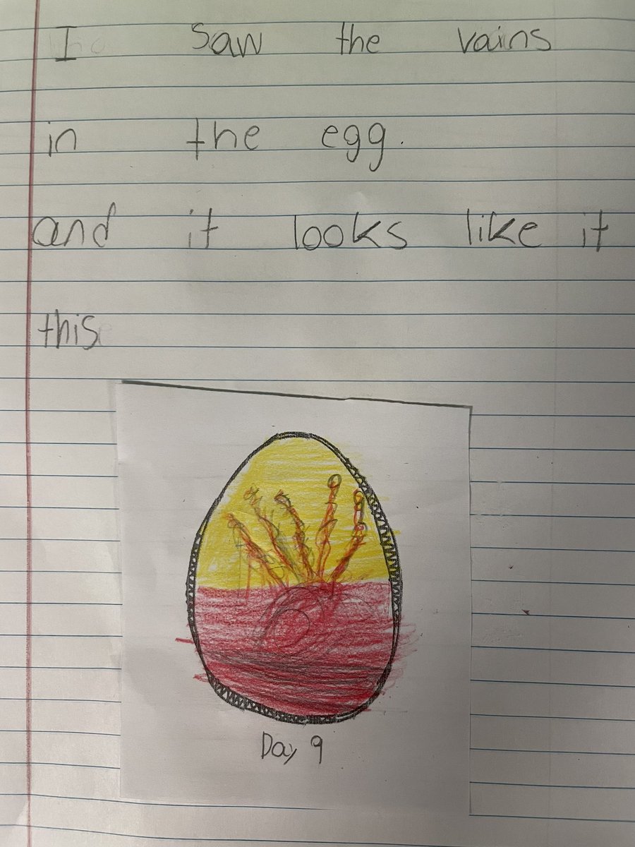 Jasmine Blizzard tweet media