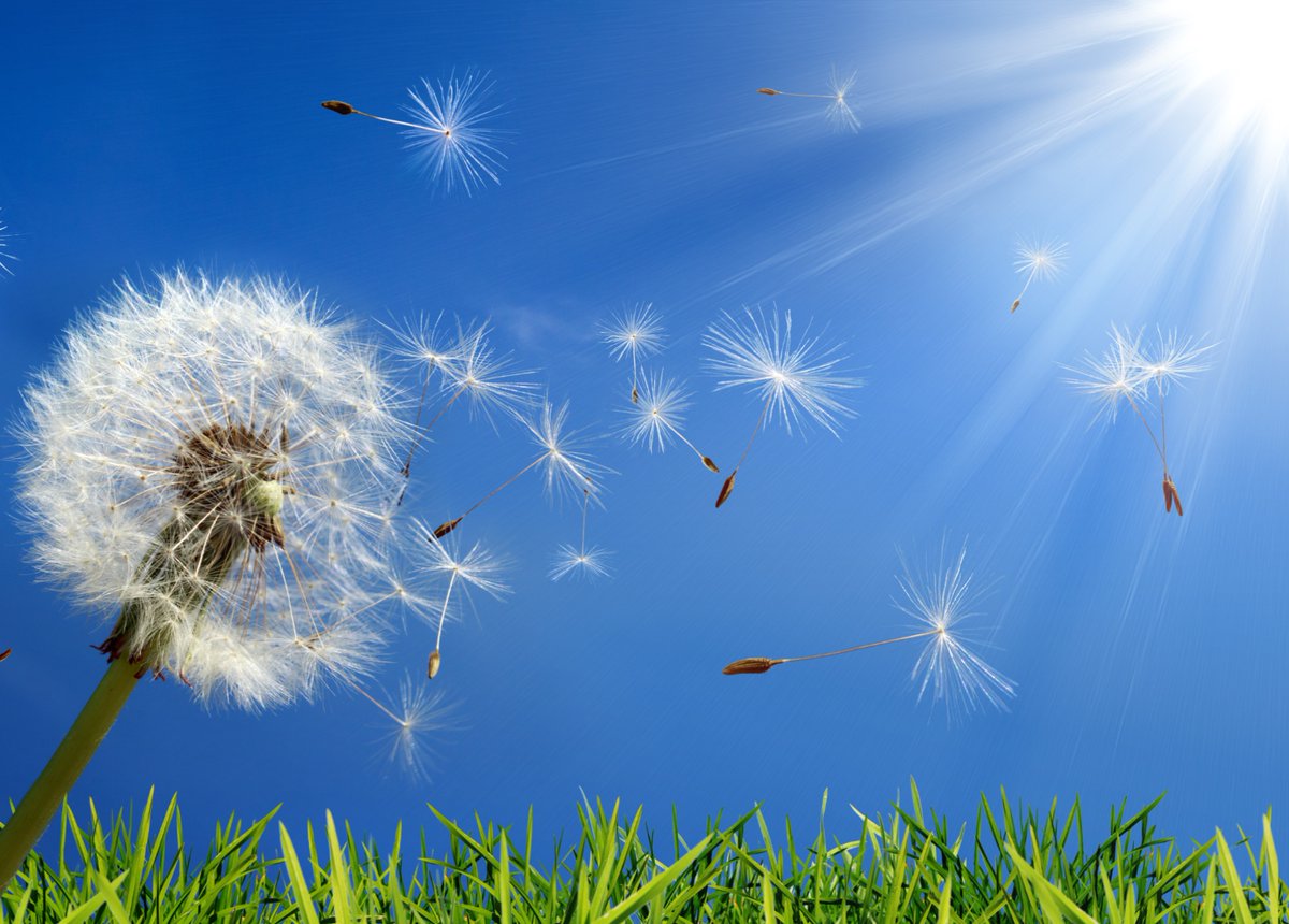 bioteklabs's tweet photo. Offset Rising Costs by Offering New Services -- Lunch Meeting Invitation
https://t.co/wpLY9I2fhX
  #ancillaryservices
#ancillaryrevenue
#allergyservices
#allergytesting
#allergytreatment https://t.co/9beXnd5p9I