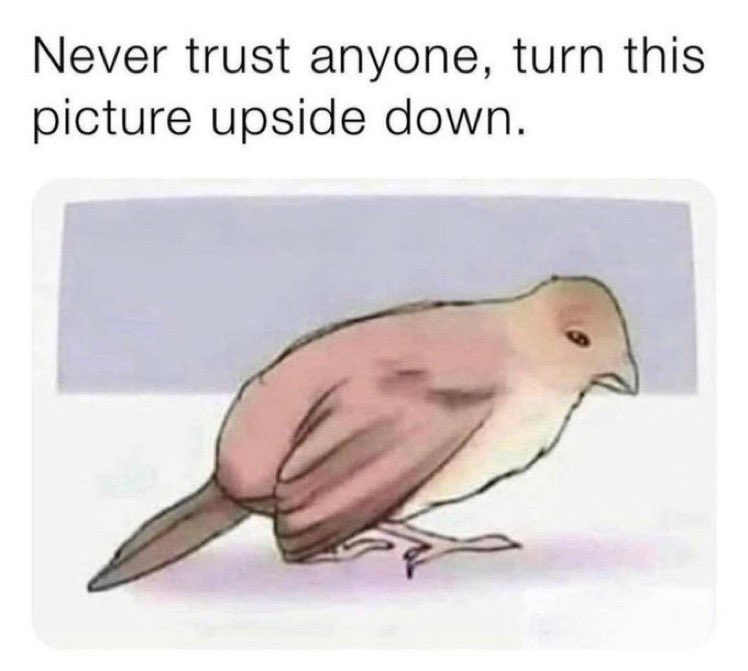 🕐HOURLY🕑 shitpost tweet media