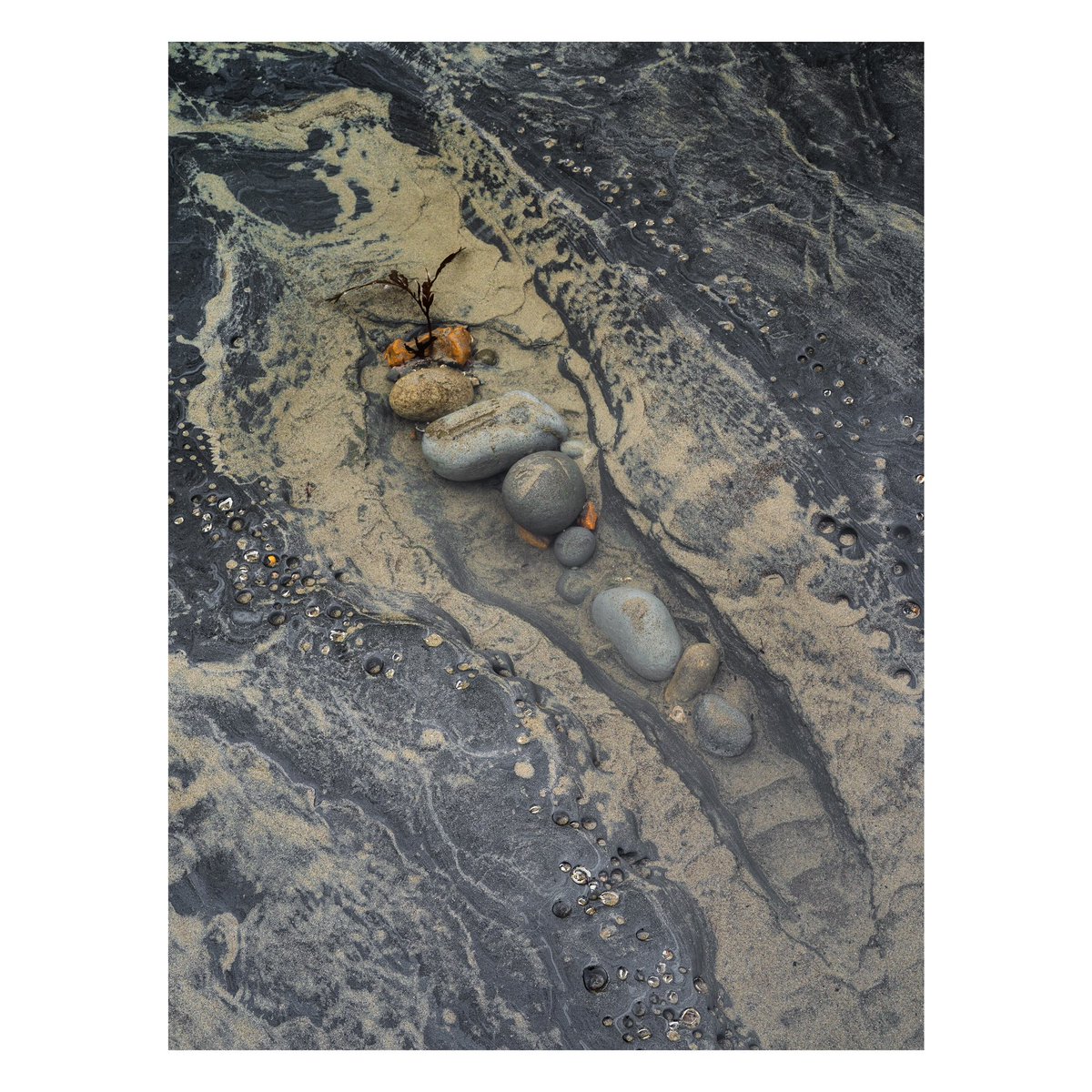 Sam Gregory tweet media