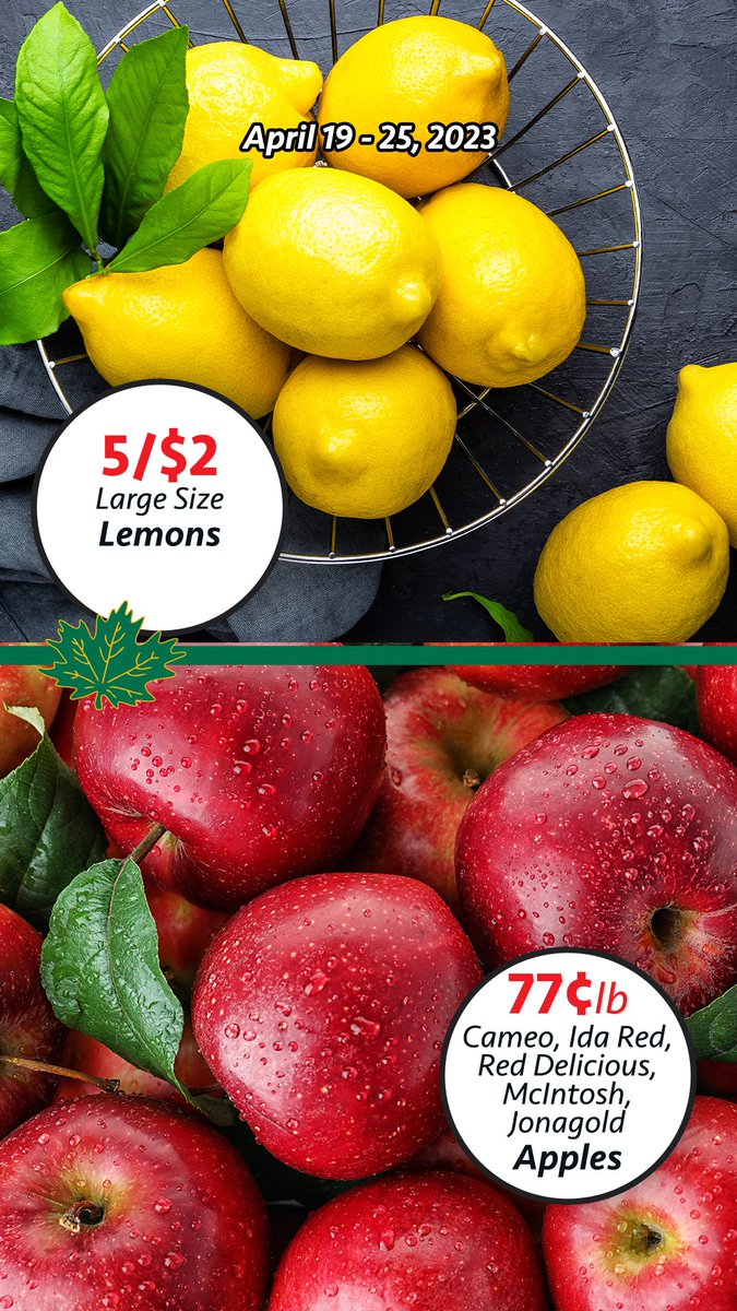 Shady Maple tweet media